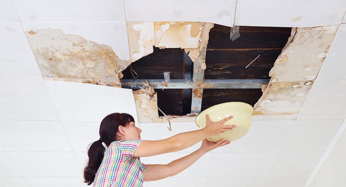 Plaster Repairs And Common Mistakes